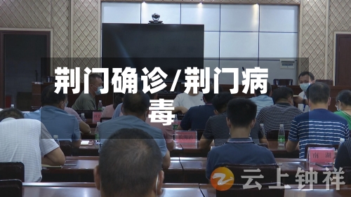 荆门确诊/荆门病毒-第2张图片