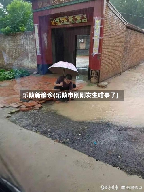 乐陵新确诊(乐陵市刚刚发生啥事了)-第2张图片