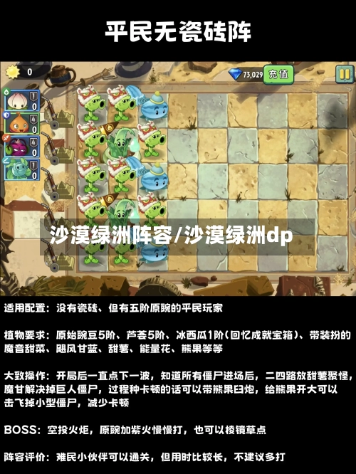 沙漠绿洲阵容/沙漠绿洲dp-第2张图片