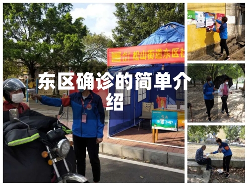 东区确诊的简单介绍