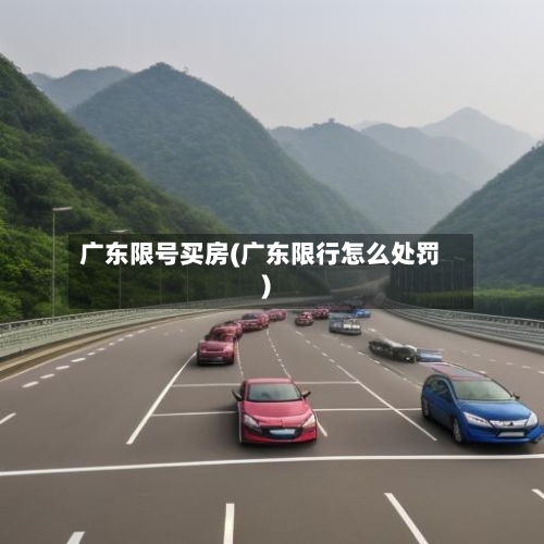 广东限号买房(广东限行怎么处罚)-第2张图片