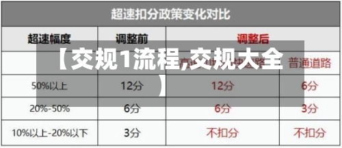 【交规1流程,交规大全】