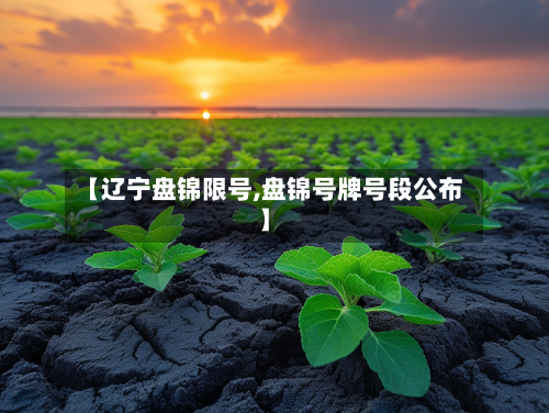 【辽宁盘锦限号,盘锦号牌号段公布】