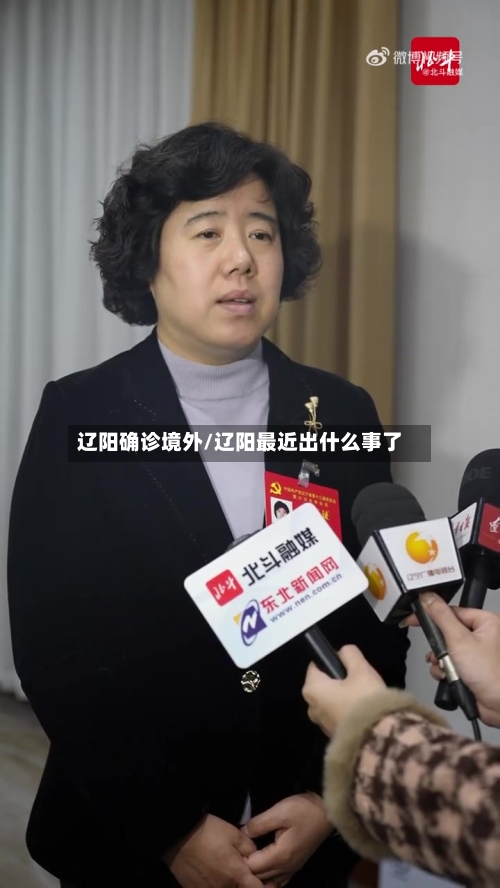 辽阳确诊境外/辽阳最近出什么事了-第2张图片