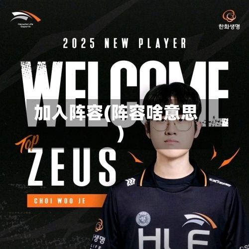加入阵容(阵容啥意思)-第2张图片