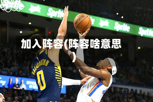 加入阵容(阵容啥意思)-第3张图片