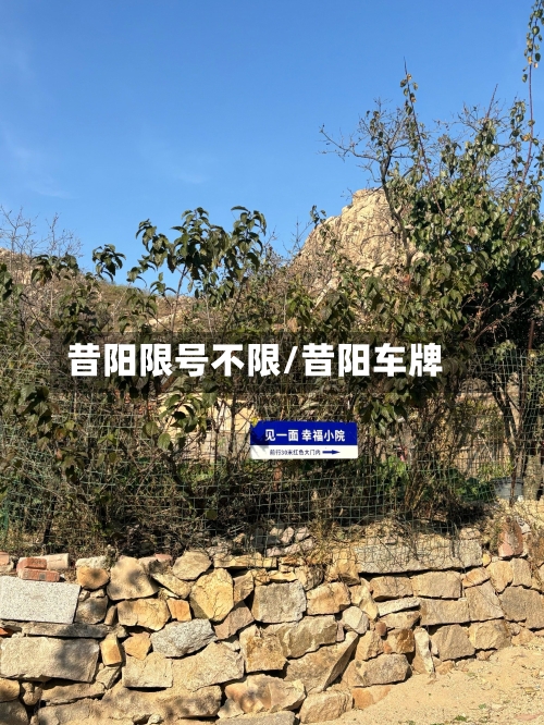 昔阳限号不限/昔阳车牌