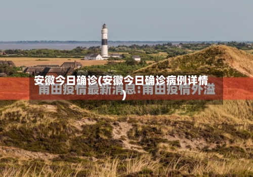 安徽今日确诊(安徽今日确诊病例详情)-第2张图片