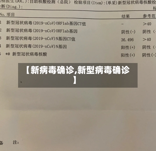 【新病毒确诊,新型病毒确诊】