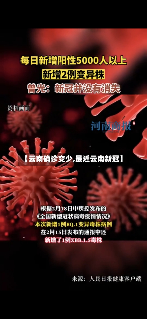 【云南确诊变少,最近云南新冠】-第2张图片