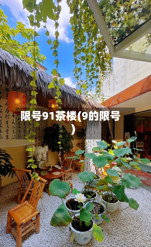 限号91茶楼(9的限号)