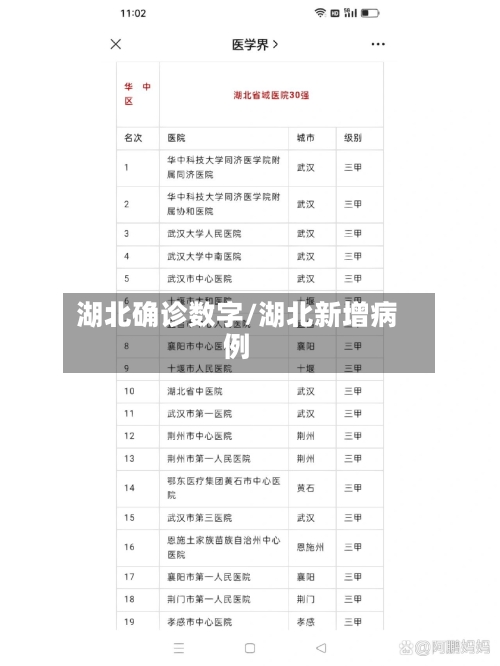 湖北确诊数字/湖北新增病例-第2张图片