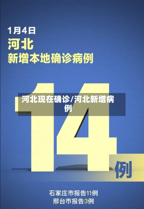 河北现在确诊/河北新增病例