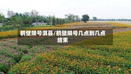 鹤壁限号淇县/鹤壁限号几点到几点结束-第2张图片
