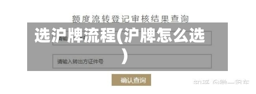 选沪牌流程(沪牌怎么选)