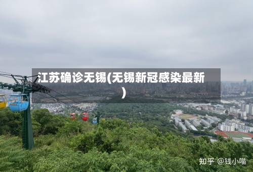 江苏确诊无锡(无锡新冠感染最新)-第3张图片