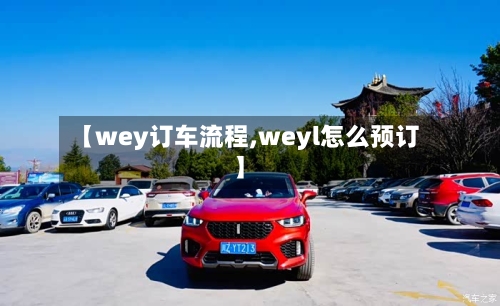 【wey订车流程,weyl怎么预订】