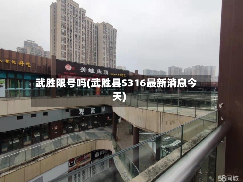 武胜限号吗(武胜县S316最新消息今天)-第2张图片