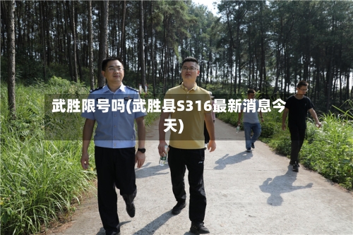 武胜限号吗(武胜县S316最新消息今天)