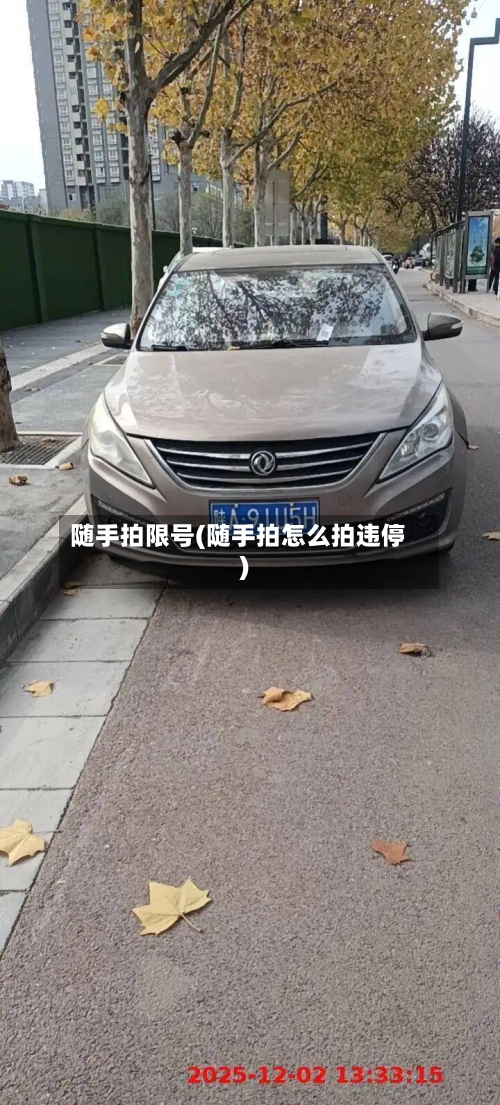 随手拍限号(随手拍怎么拍违停)-第2张图片