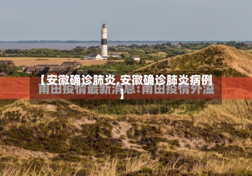 【安徽确诊肺炎,安徽确诊肺炎病例】-第2张图片