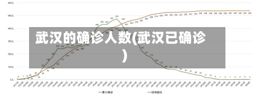 武汉的确诊人数(武汉已确诊)-第2张图片