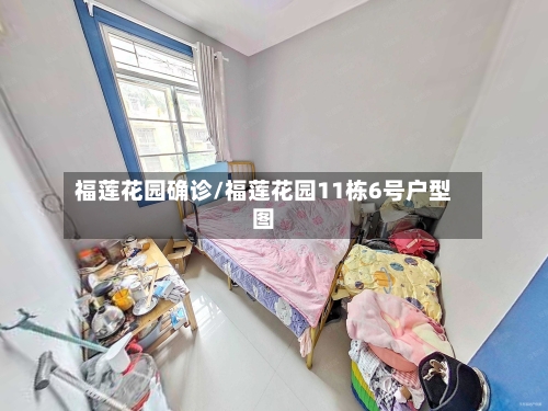 福莲花园确诊/福莲花园11栋6号户型图