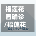 福莲花园确诊/福莲花园11栋6号户型图-第2张图片