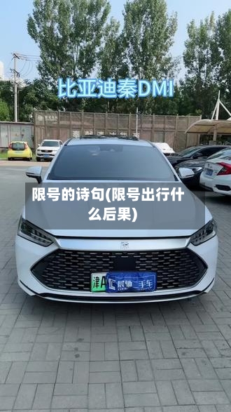 限号的诗句(限号出行什么后果)-第3张图片