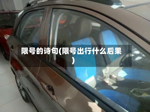 限号的诗句(限号出行什么后果)