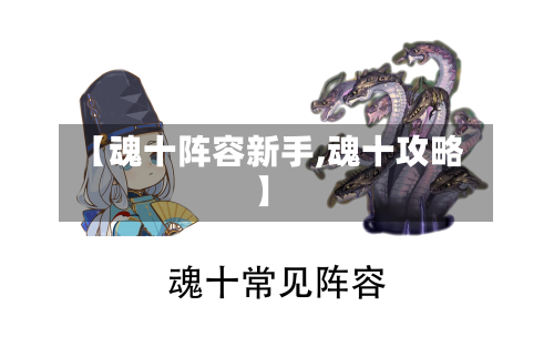 【魂十阵容新手,魂十攻略】