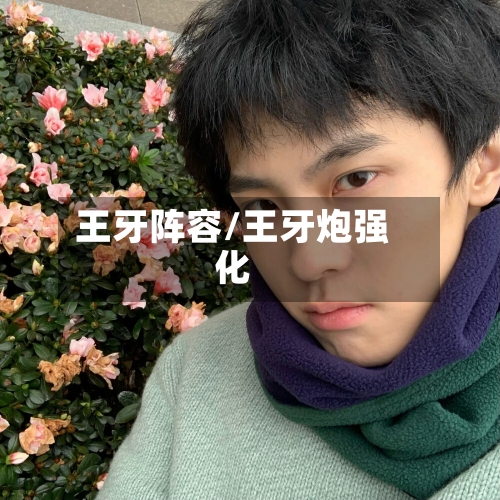 王牙阵容/王牙炮强化