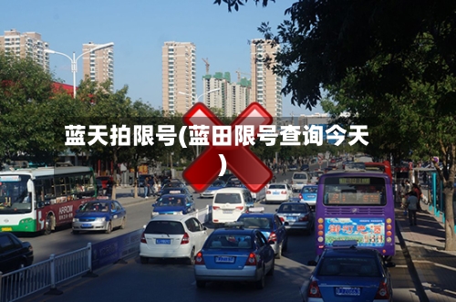 蓝天拍限号(蓝田限号查询今天)