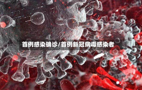 首例感染确诊/首例新冠病毒感染者-第3张图片