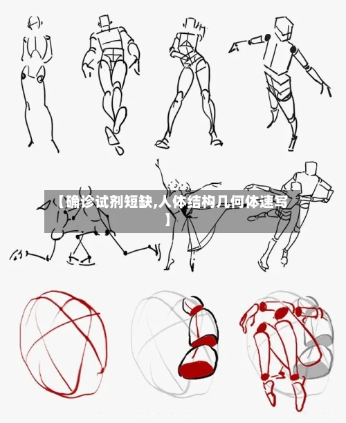 【确诊试剂短缺,人体结构几何体速写】-第3张图片