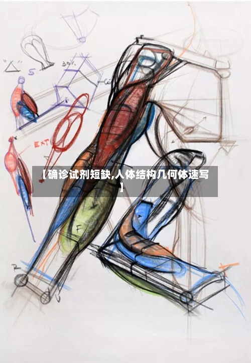 【确诊试剂短缺,人体结构几何体速写】