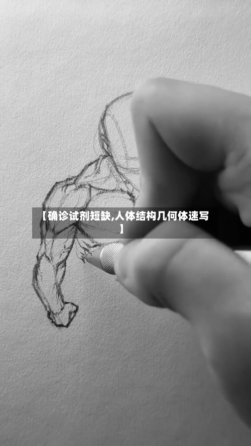 【确诊试剂短缺,人体结构几何体速写】-第2张图片