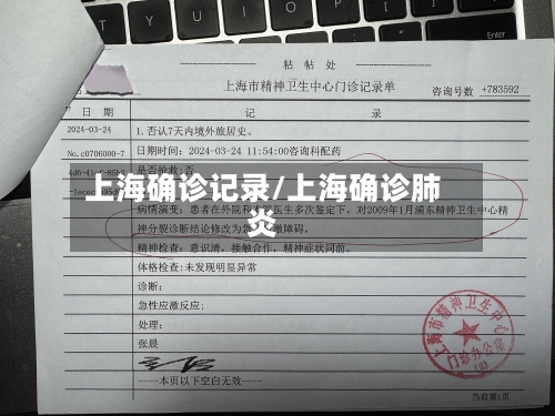 上海确诊记录/上海确诊肺炎-第2张图片