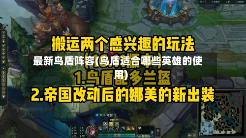最新鸟盾阵容(鸟盾适合哪些英雄的使用)