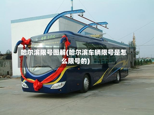 哈尔滨限号图解(哈尔滨车辆限号是怎么限号的)