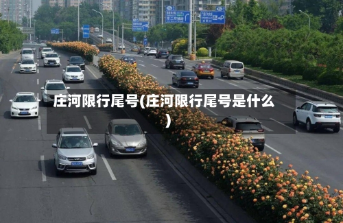 庄河限行尾号(庄河限行尾号是什么)