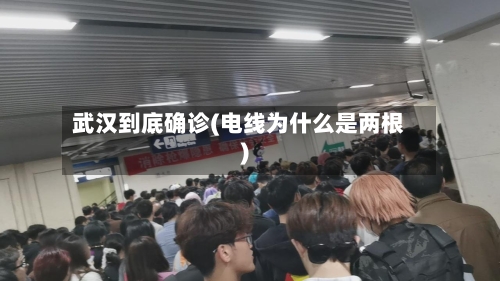 武汉到底确诊(电线为什么是两根)