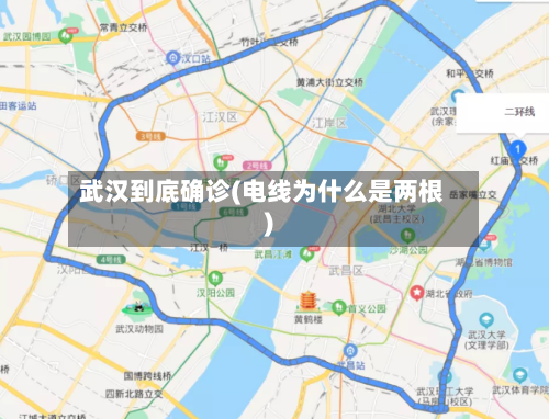 武汉到底确诊(电线为什么是两根)-第2张图片