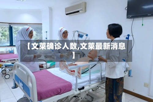 【文莱确诊人数,文莱最新消息】