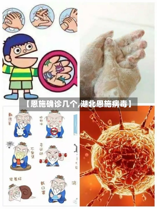 【恩施确诊几个,湖北恩施病毒】-第3张图片