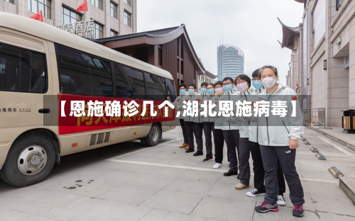 【恩施确诊几个,湖北恩施病毒】-第2张图片