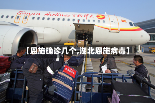 【恩施确诊几个,湖北恩施病毒】