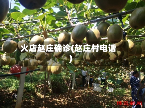 火店赵庄确诊(赵庄村电话)