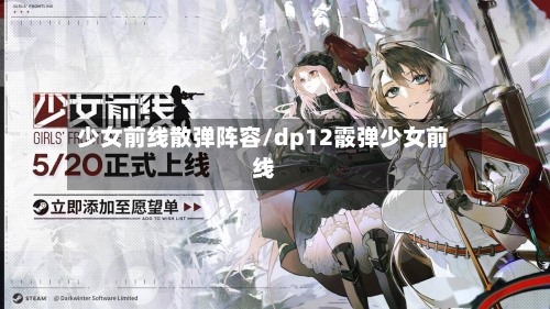 少女前线散弹阵容/dp12霰弹少女前线