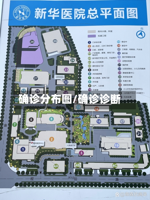 确诊分布图/确诊诊断-第2张图片